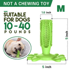 Rubber Dog Chew Toys