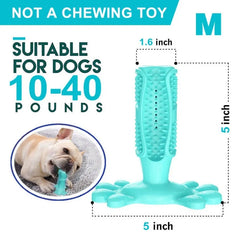 Rubber Dog Chew Toys